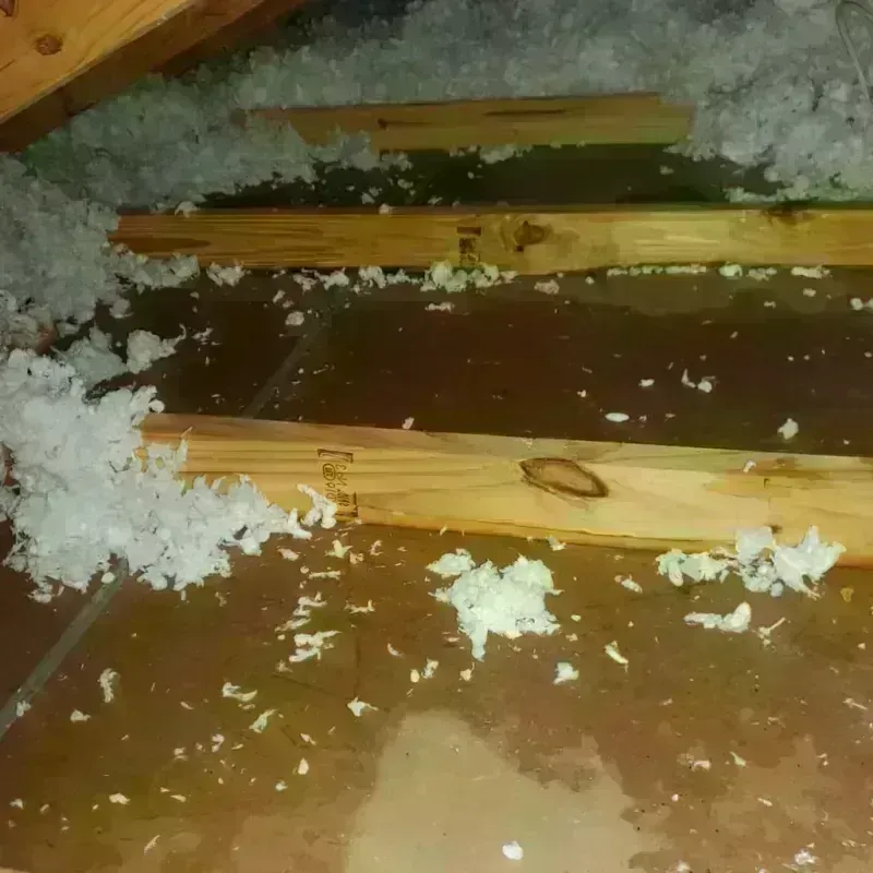 Attic Water Damage in Dunkirk, IN