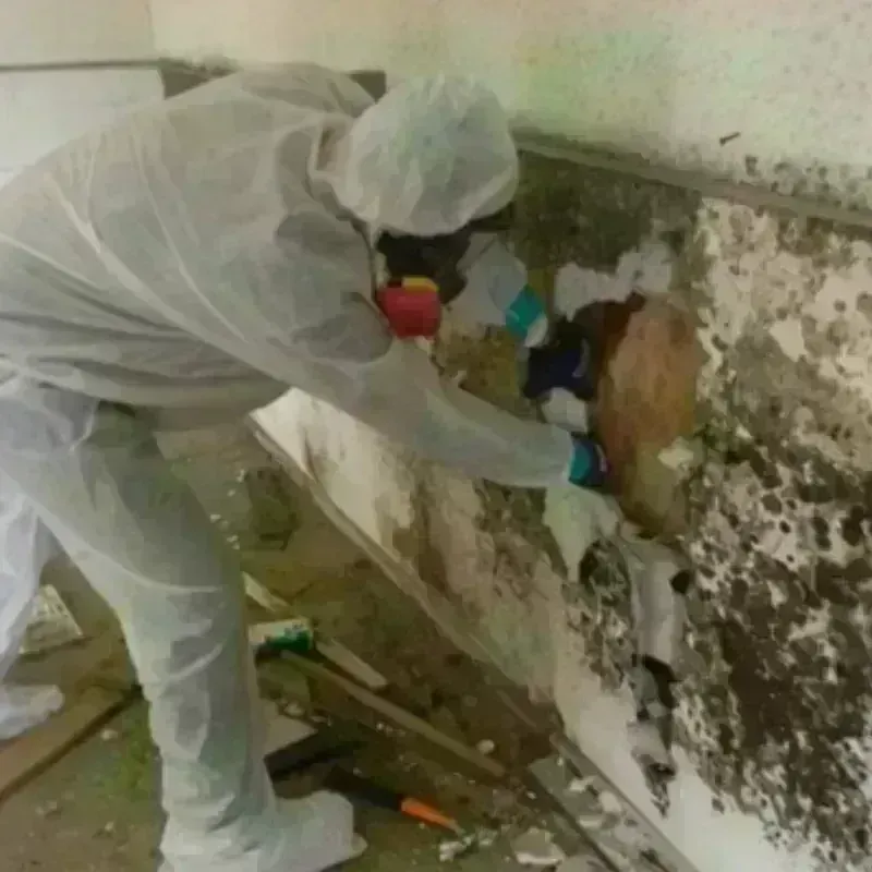 Mold Remediation and Removal in Dunkirk, IN